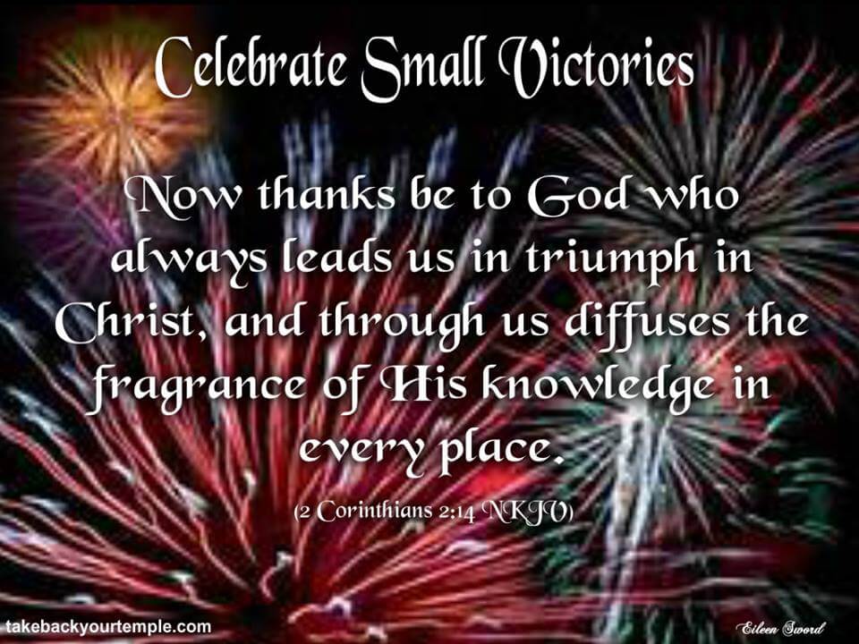27-Celebrate Small Victories-a
