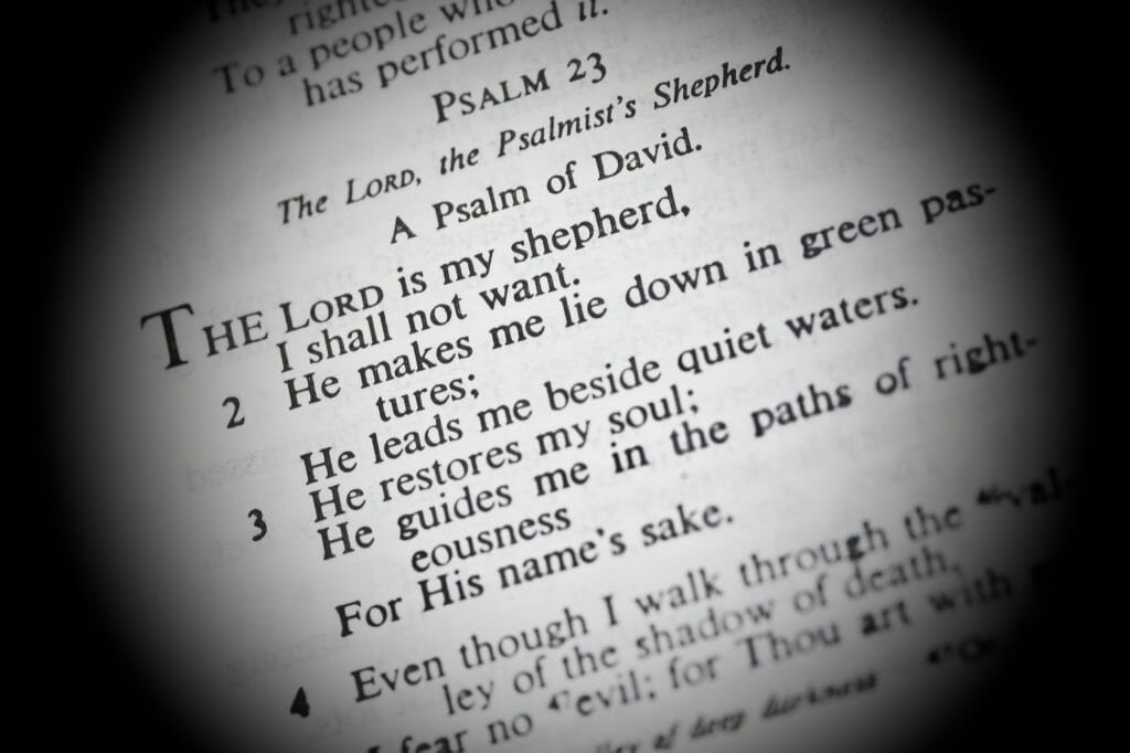 Psalm 23c