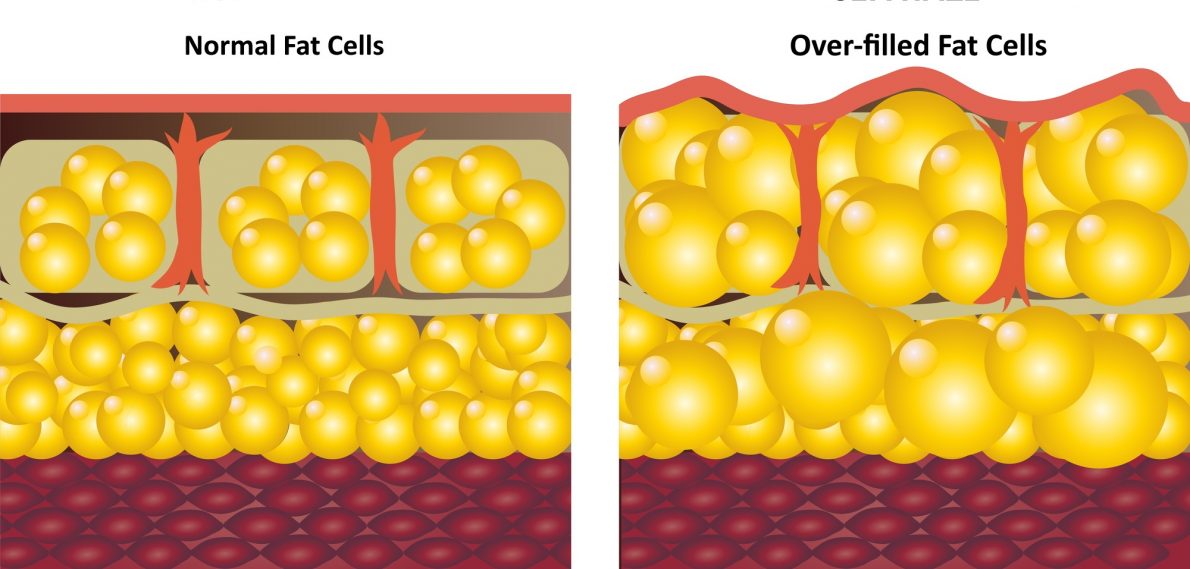 The Fat Storage Hormone BEWARE Christian Weight Loss