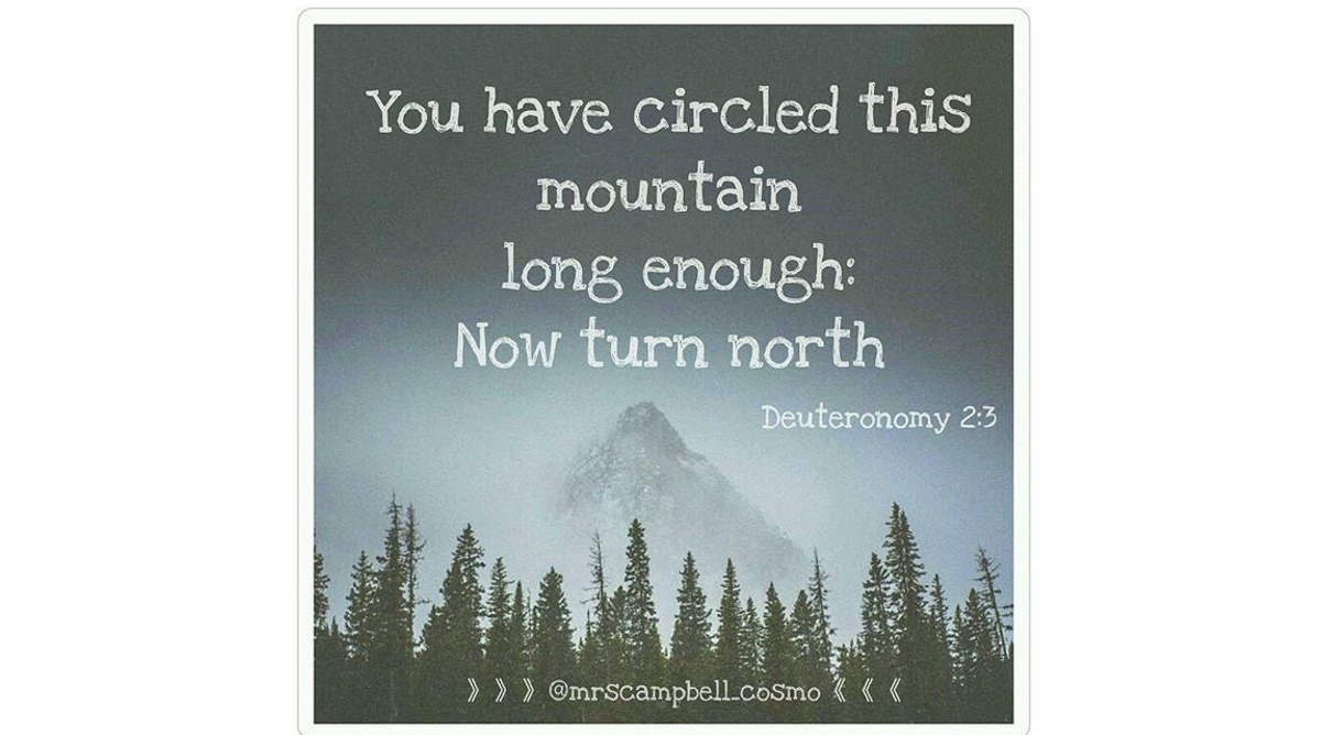 a mountain with trees in the background